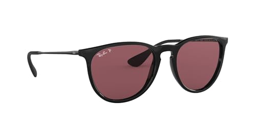 Ray-Ban Erika Sunglasses