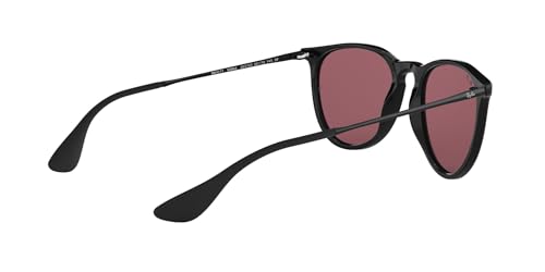 Ray-Ban Erika Sunglasses