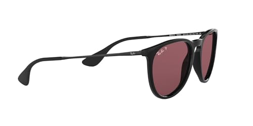 Ray-Ban Erika Sunglasses