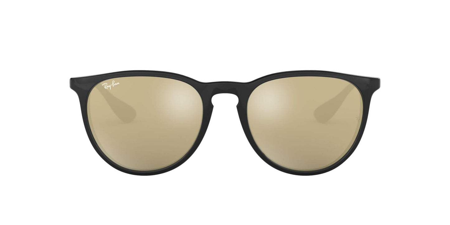 Ray-Ban Erika Sunglasses