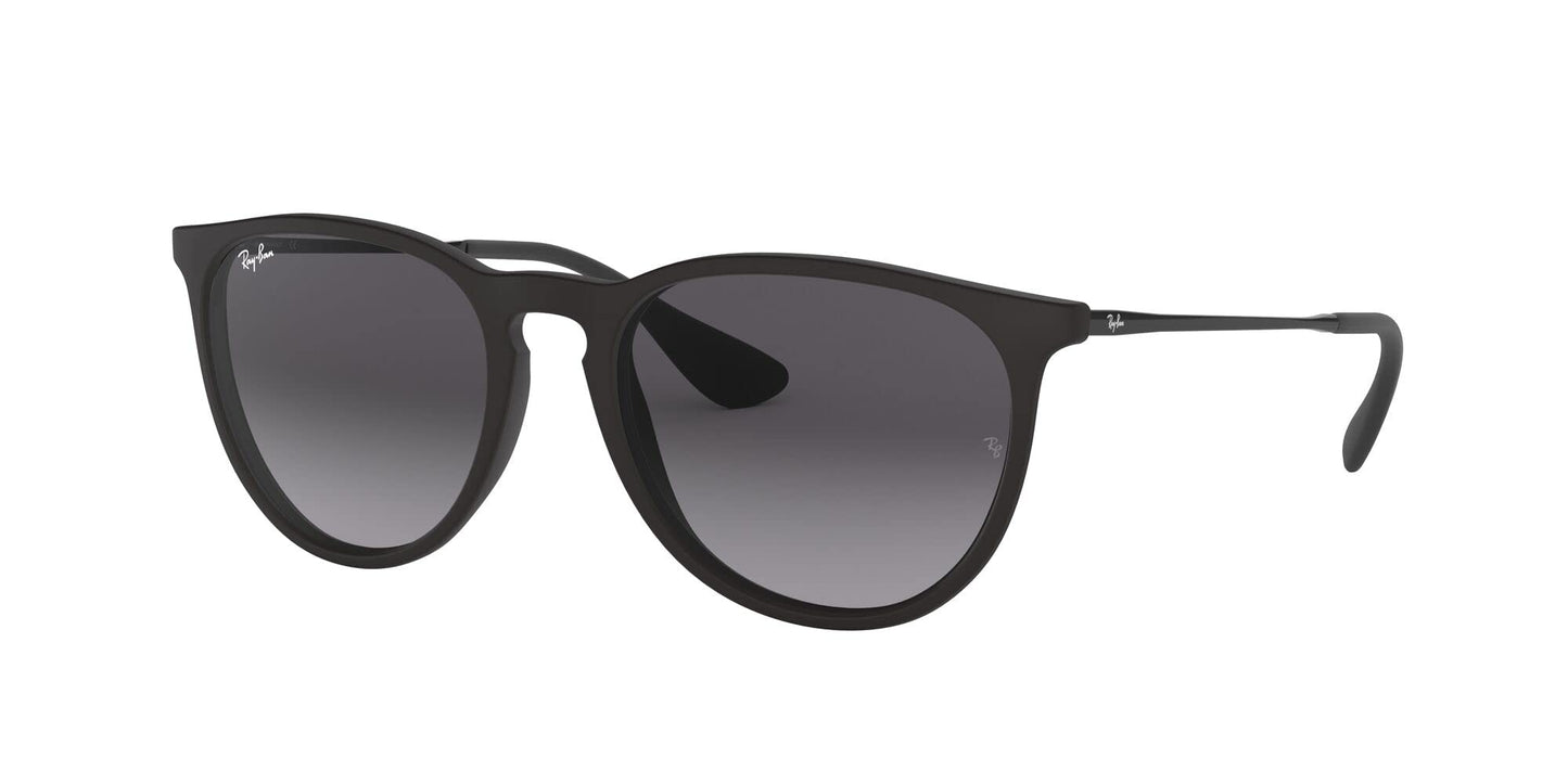 Ray-Ban Erika Sunglasses