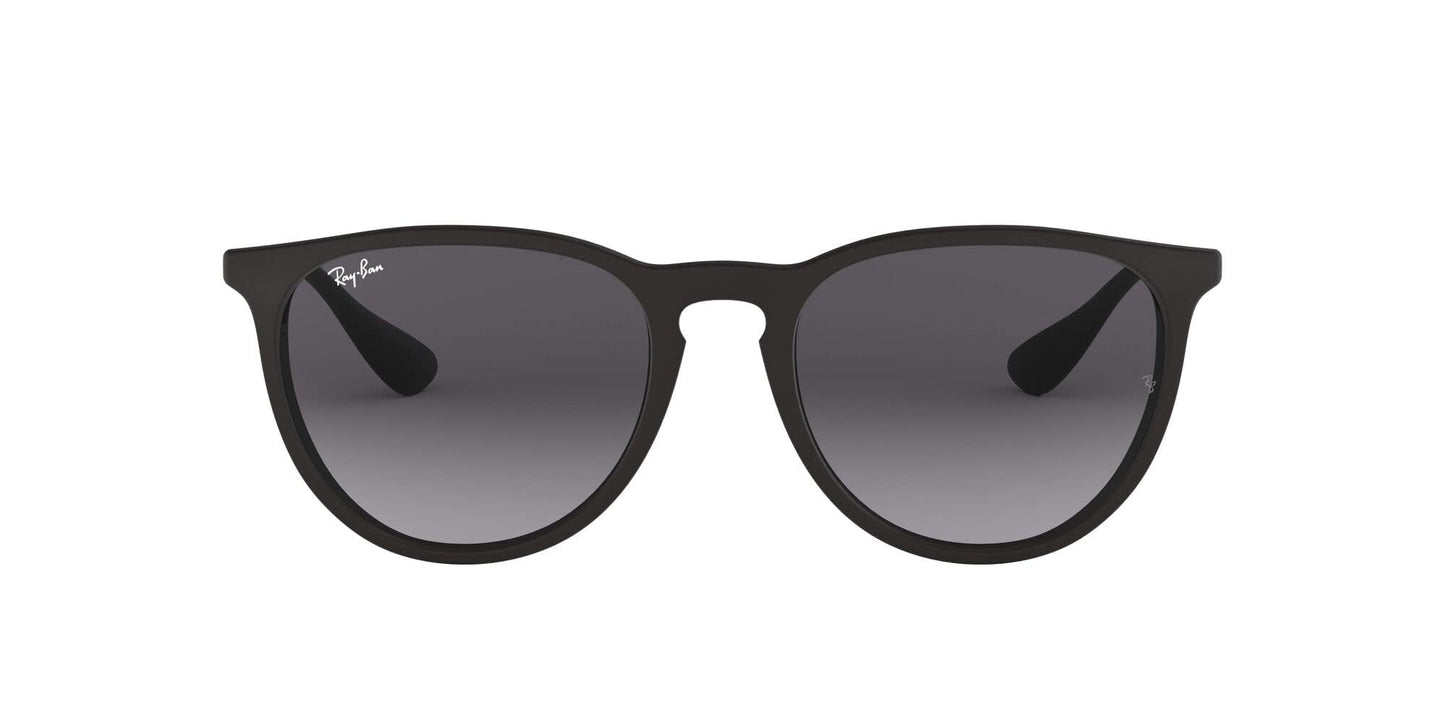 Ray-Ban Erika Sunglasses