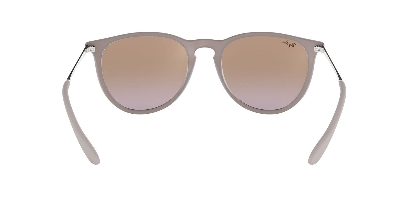 Ray-Ban Erika Sunglasses