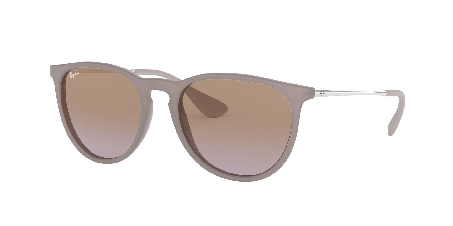 Ray-Ban Erika Sunglasses