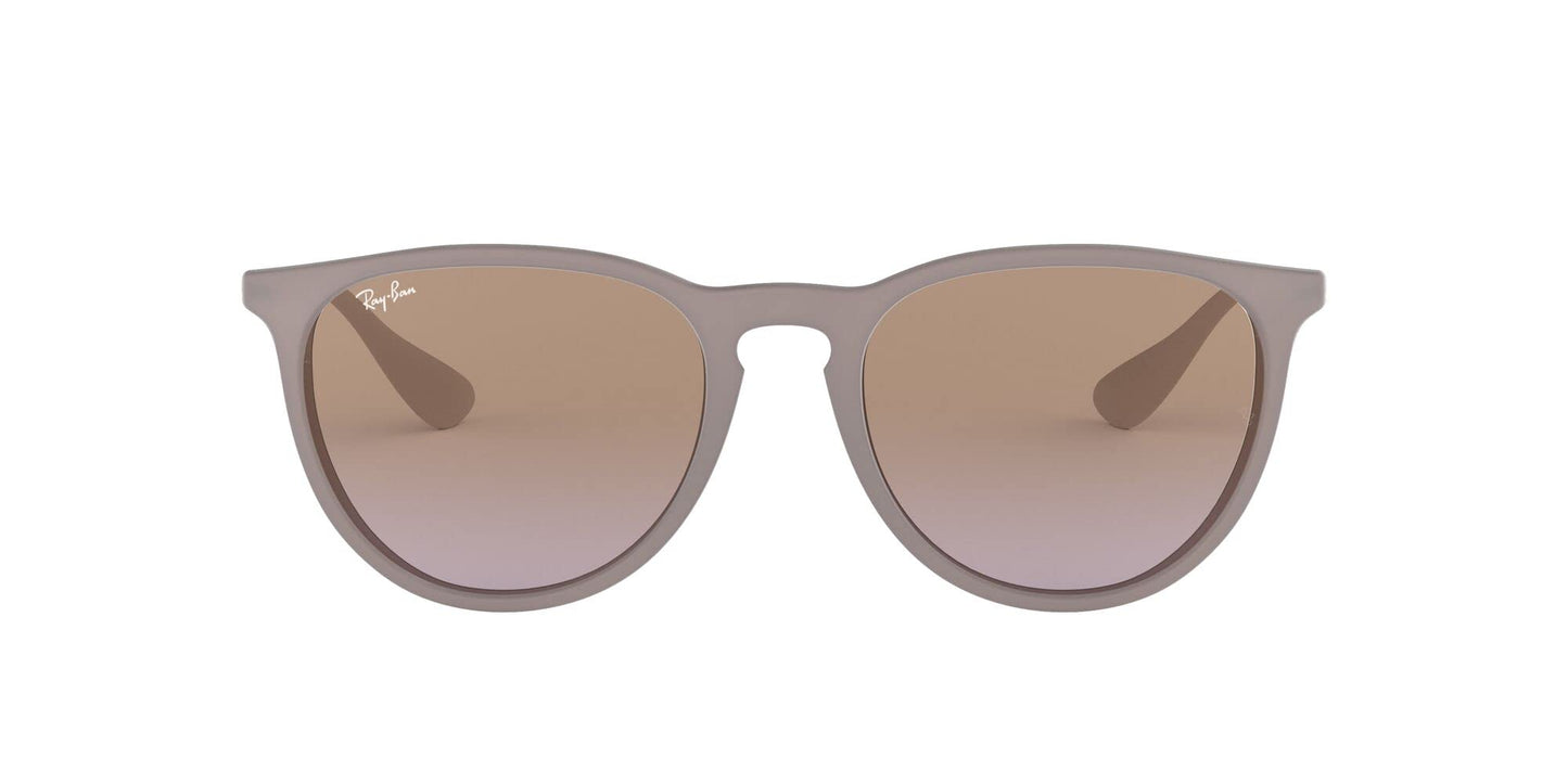 Ray-Ban Erika Sunglasses