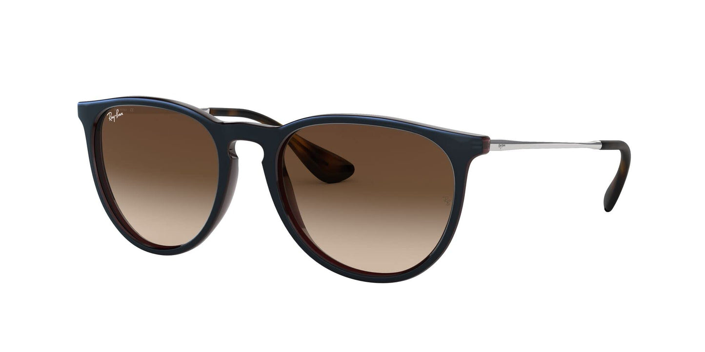 Ray-Ban Erika Sunglasses