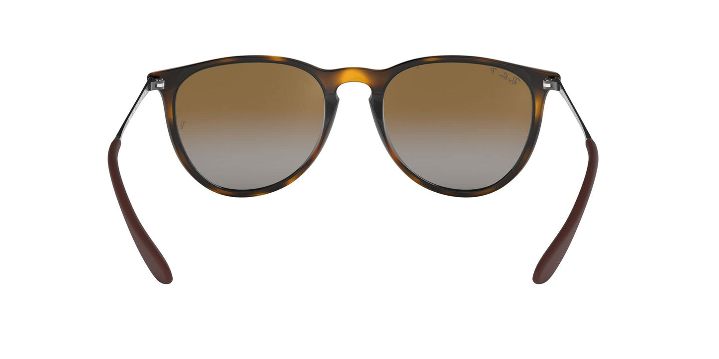 Ray-Ban Erika Sunglasses