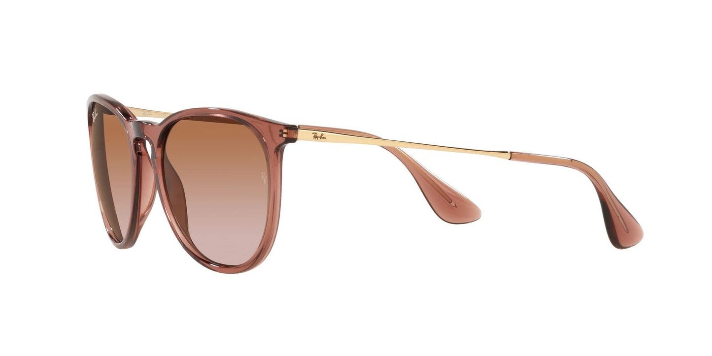 Ray-Ban Erika Sunglasses