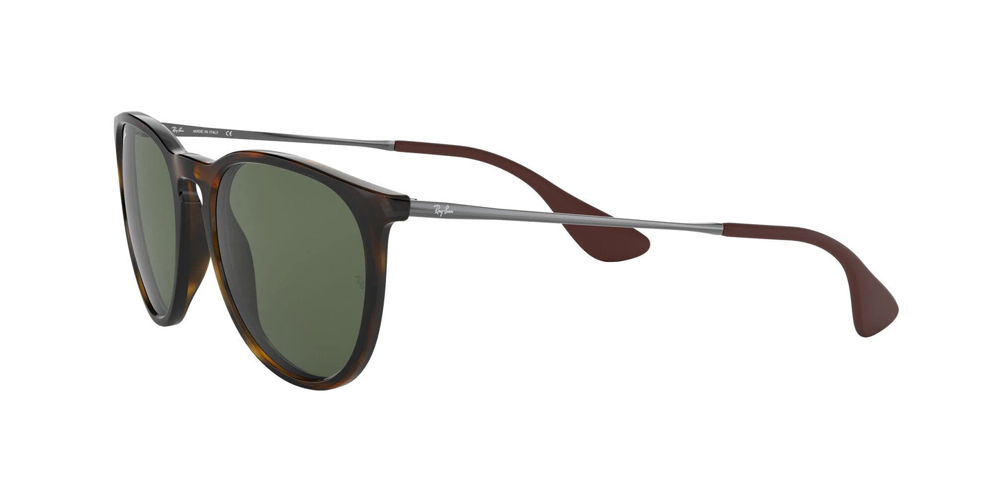 Ray-Ban Erika Sunglasses