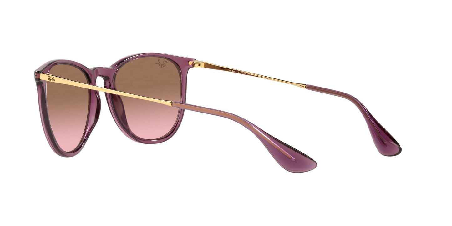 Ray-Ban Erika Sunglasses