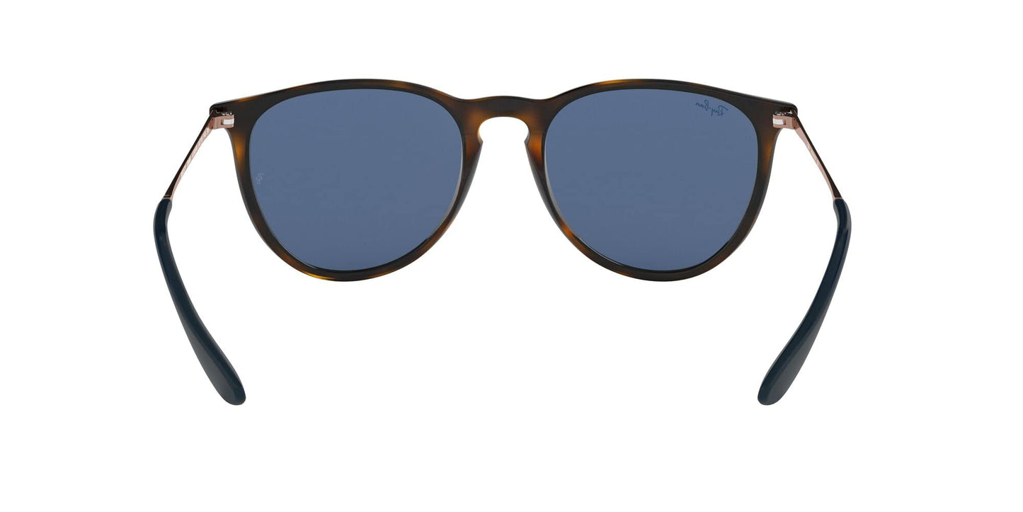 Ray-Ban Erika Sunglasses