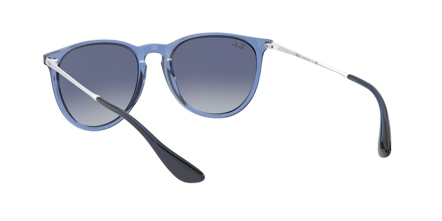 Ray-Ban Erika Sunglasses