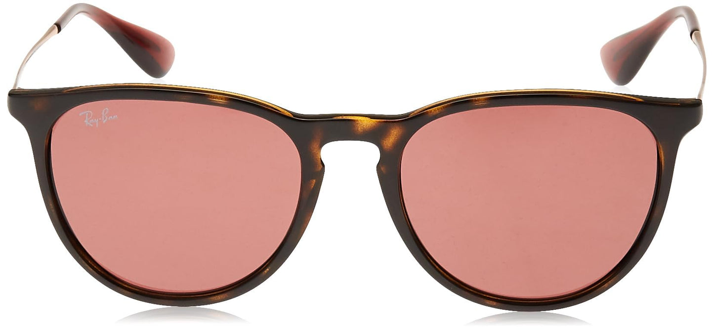 Ray-Ban Erika Sunglasses