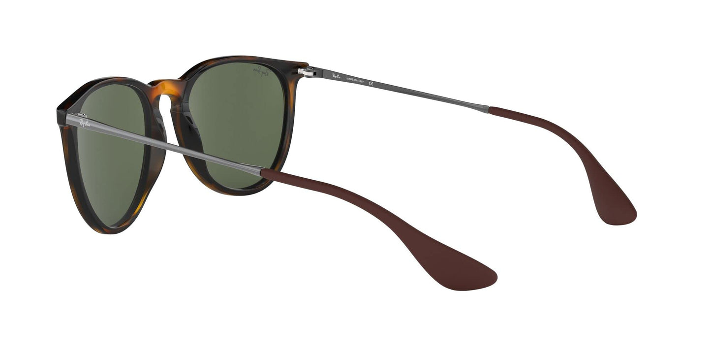 Ray-Ban Erika Sunglasses