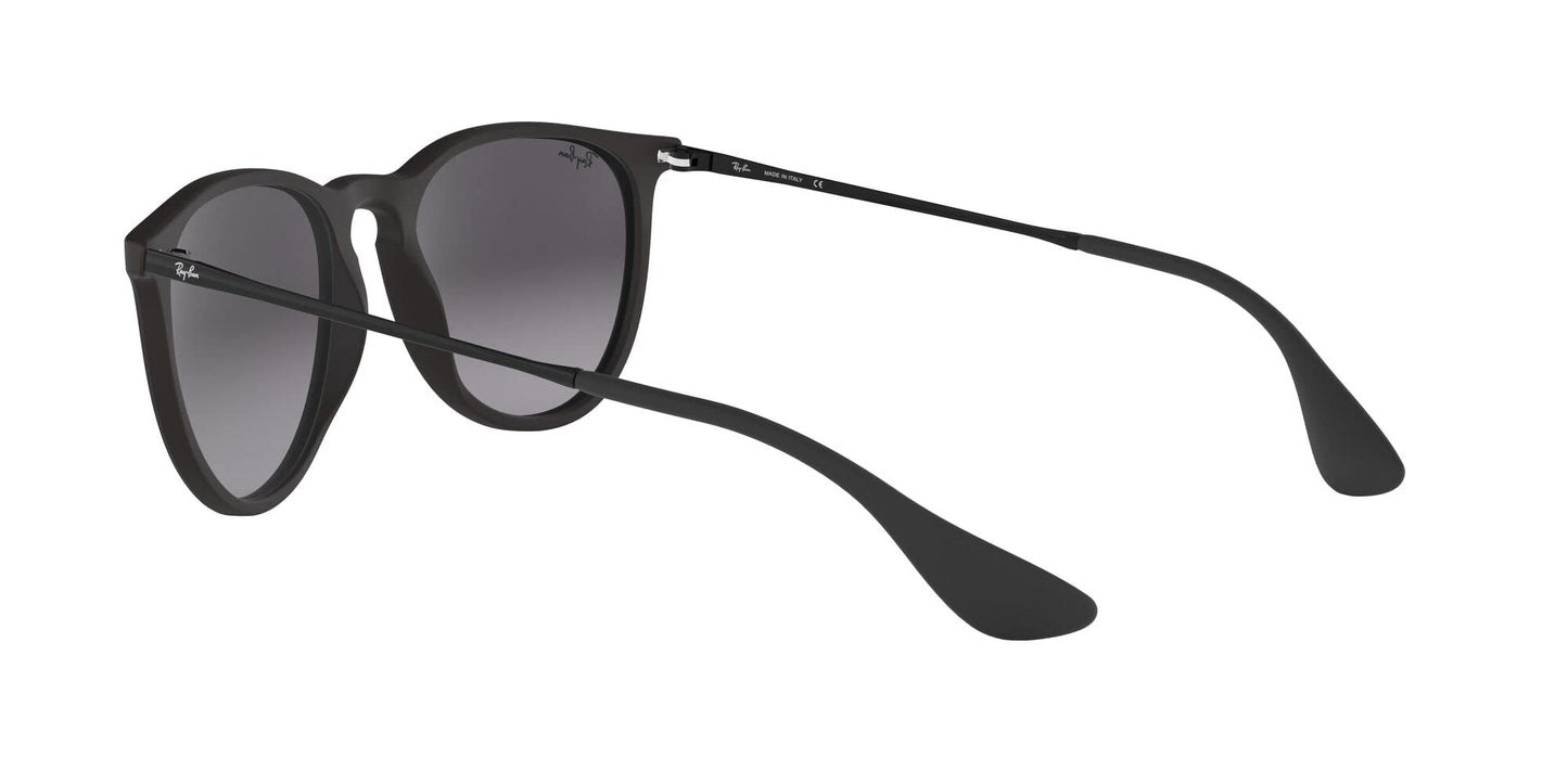 Ray-Ban Erika Sunglasses