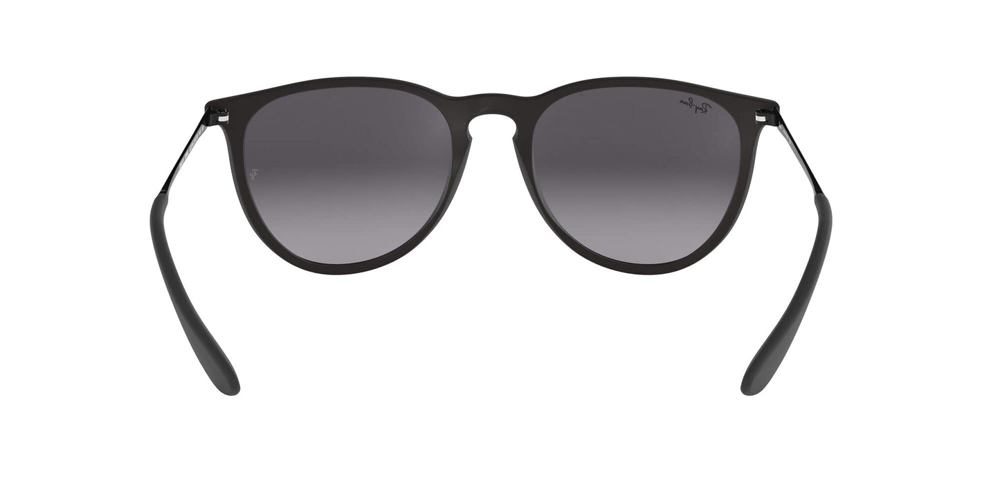 Ray-Ban Erika Sunglasses