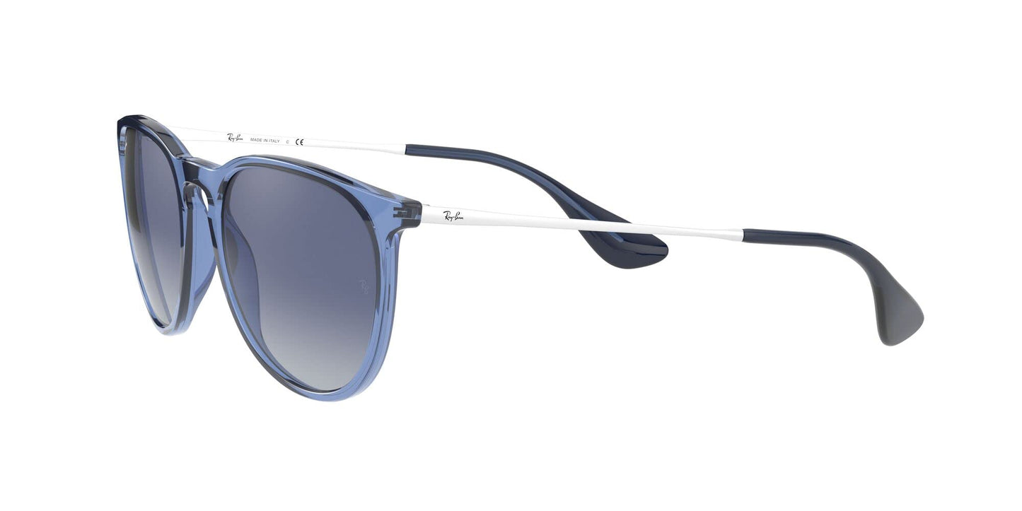 Ray-Ban Erika Sunglasses