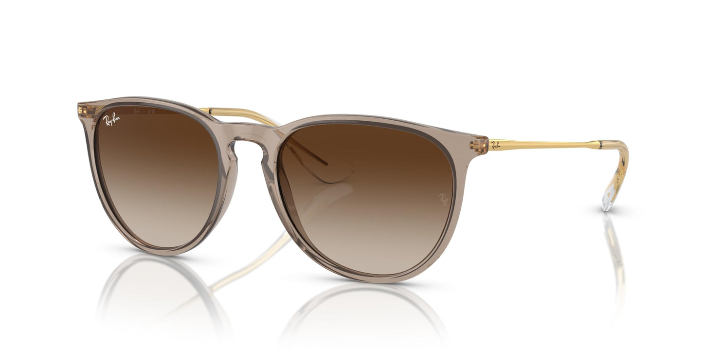 Ray-Ban Erika Sunglasses