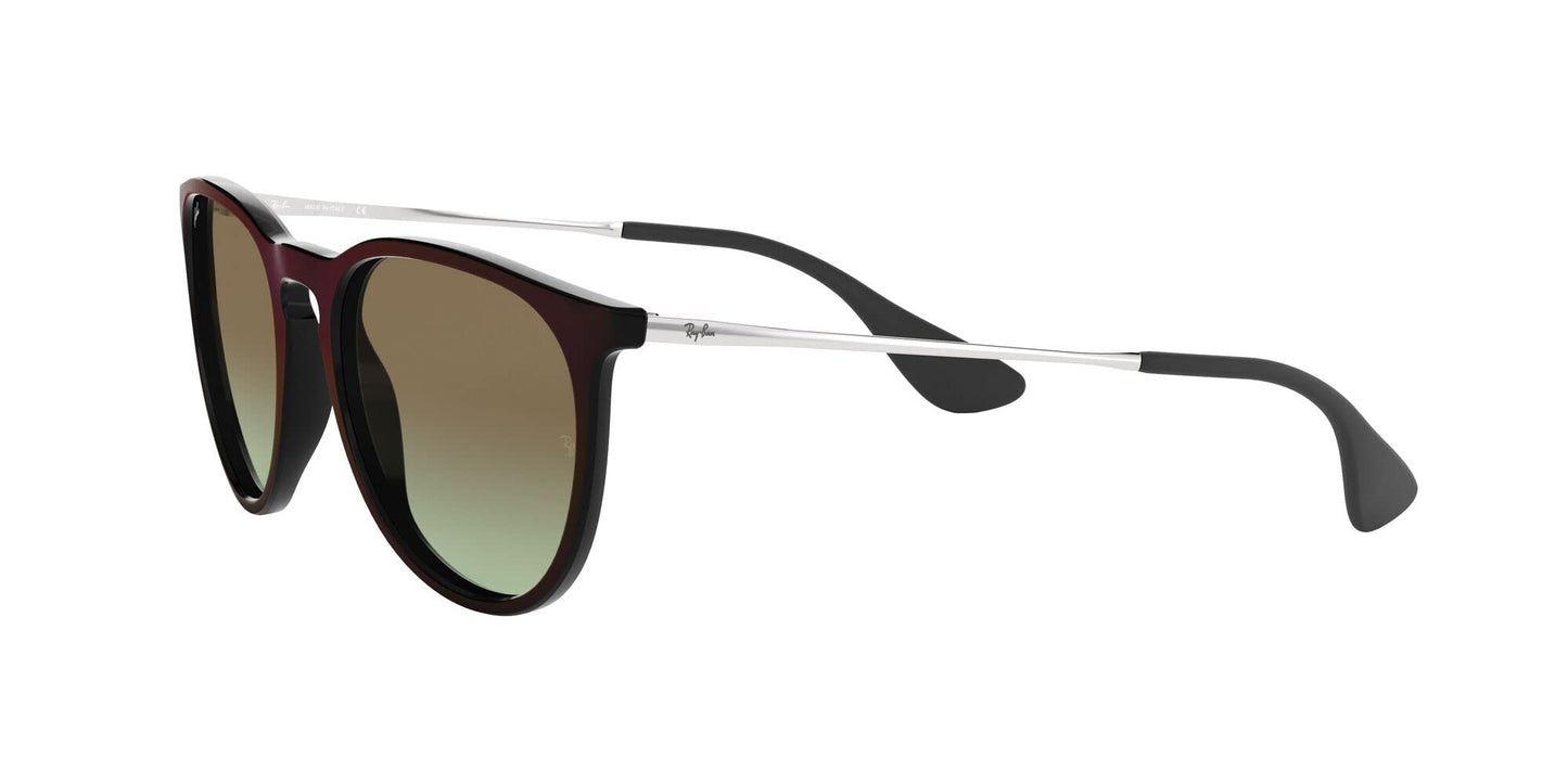 Ray-Ban Erika Sunglasses