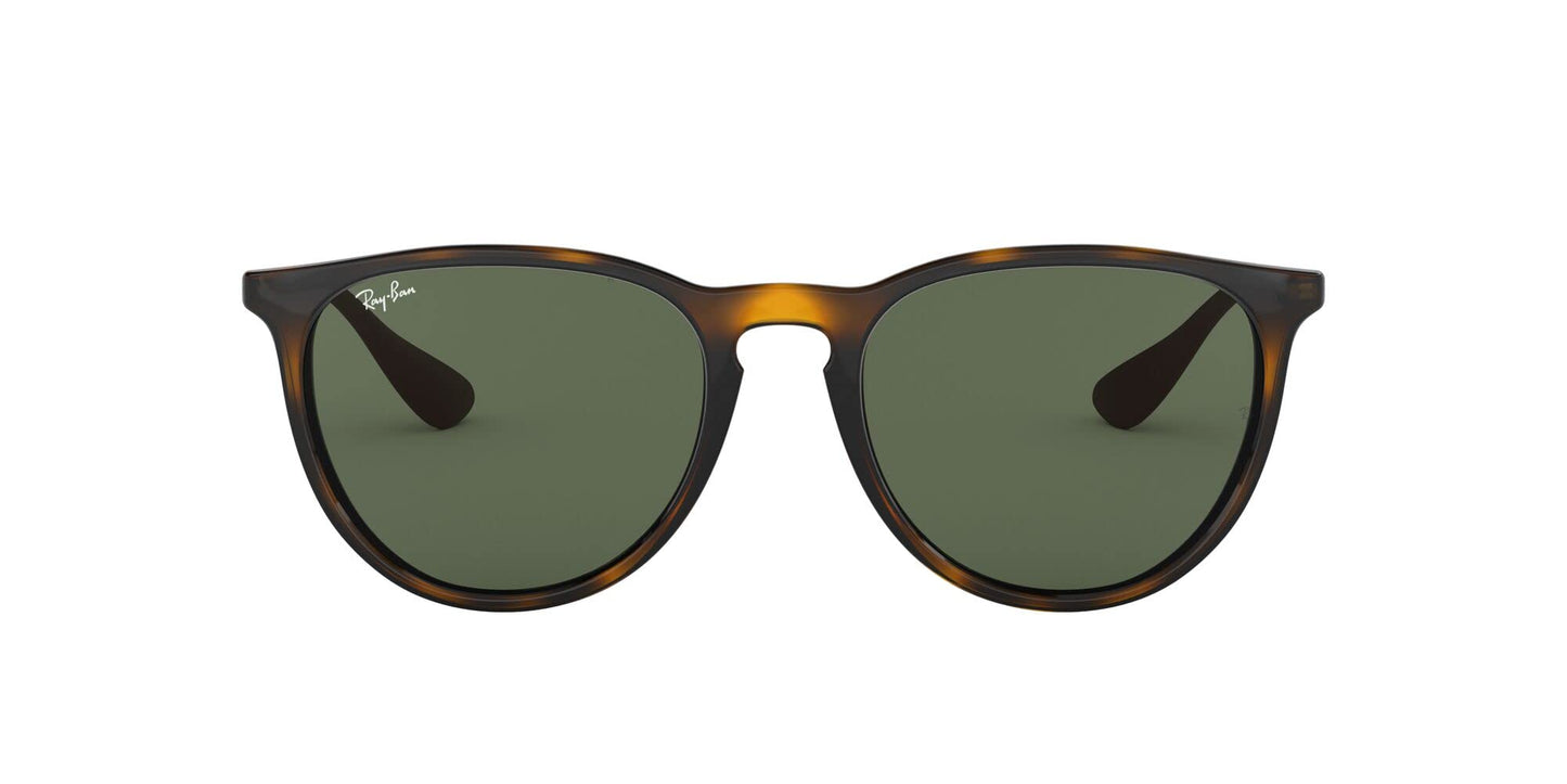 Ray-Ban Erika Sunglasses