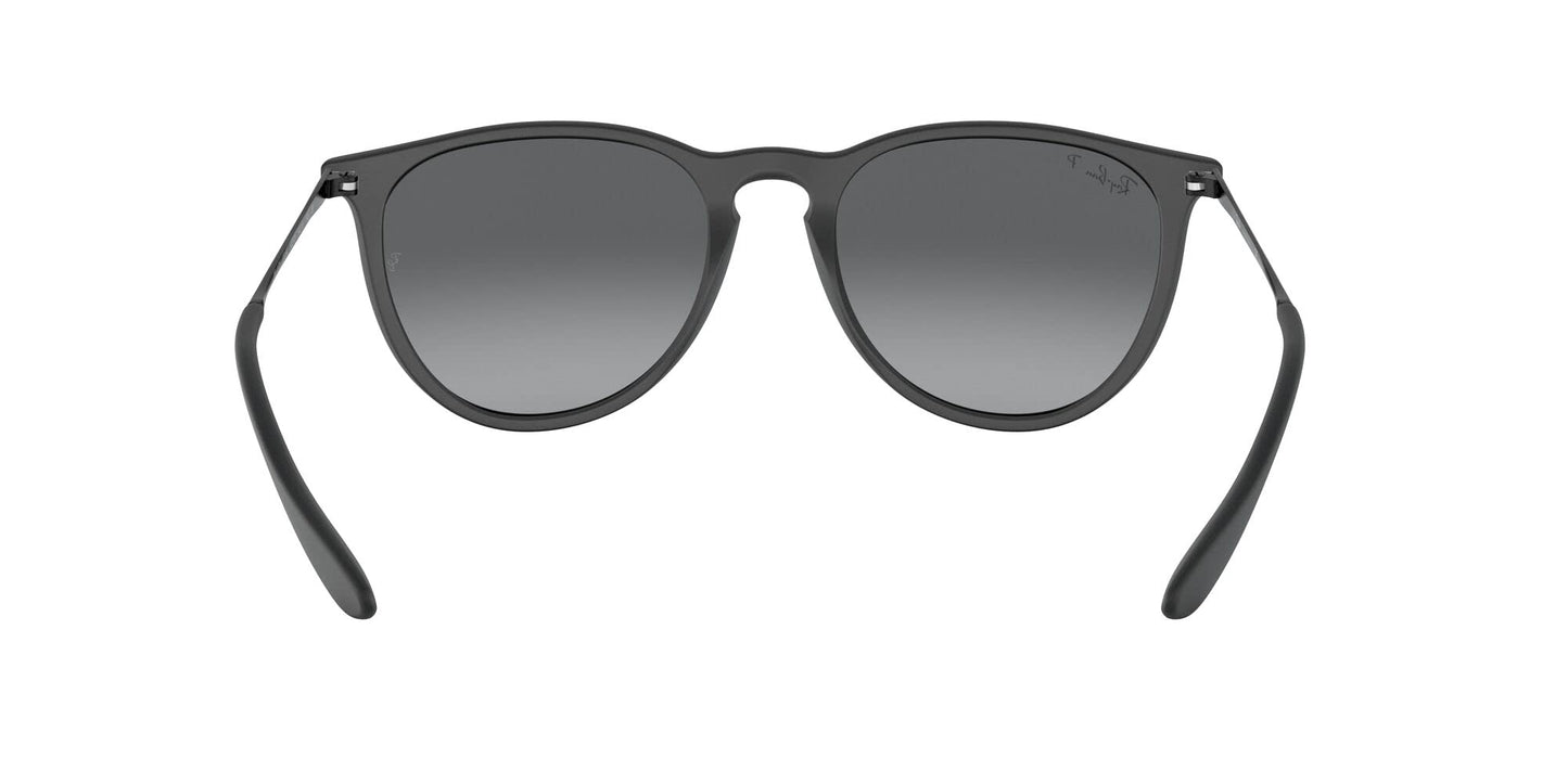 Ray-Ban Erika Sunglasses