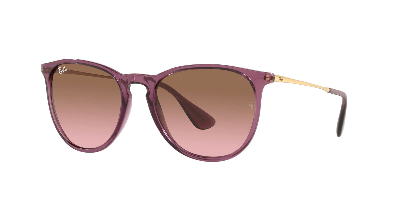 Ray-Ban Erika Sunglasses