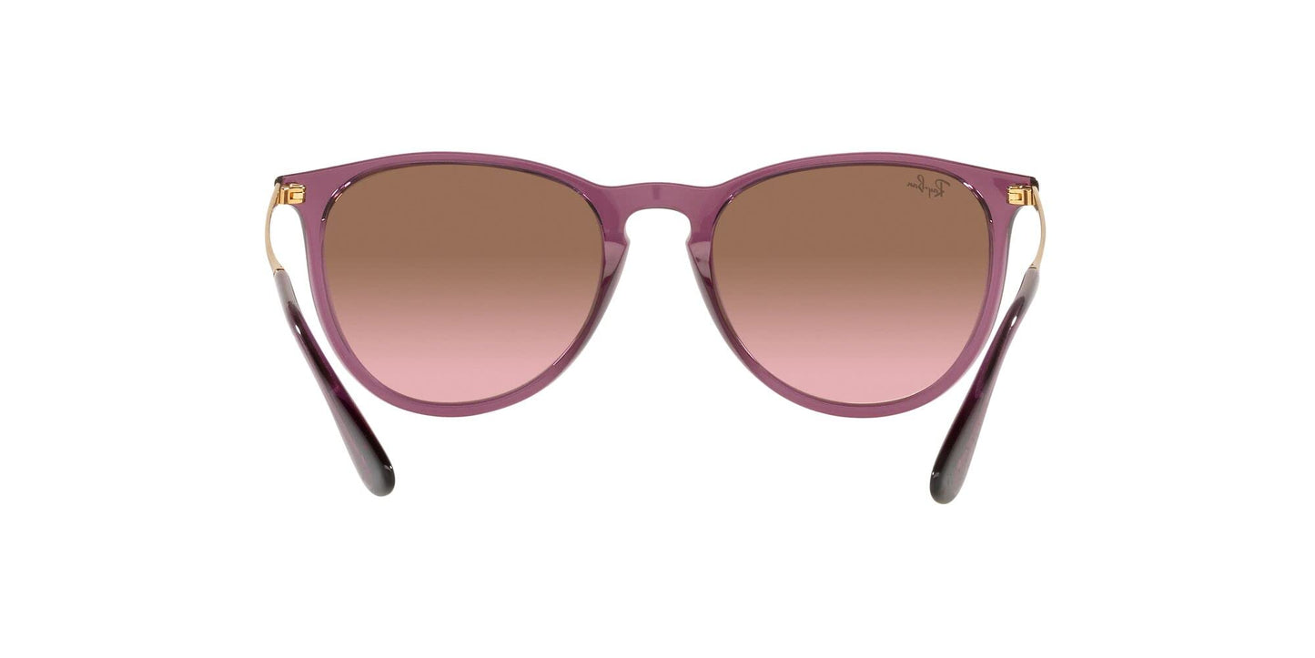 Ray-Ban Erika Sunglasses