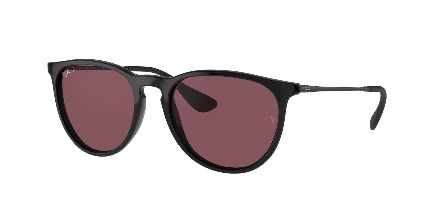 Ray-Ban Erika Sunglasses