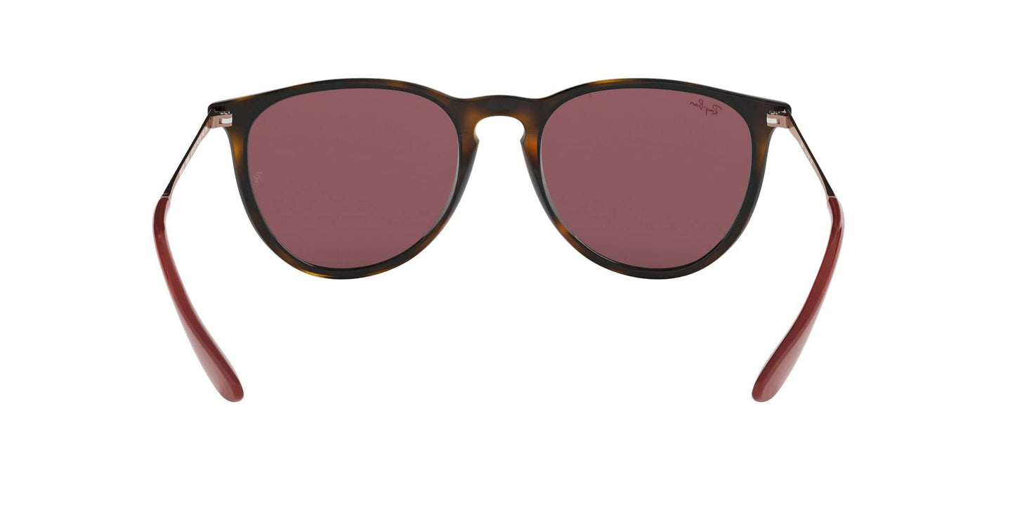 Ray-Ban Erika Sunglasses