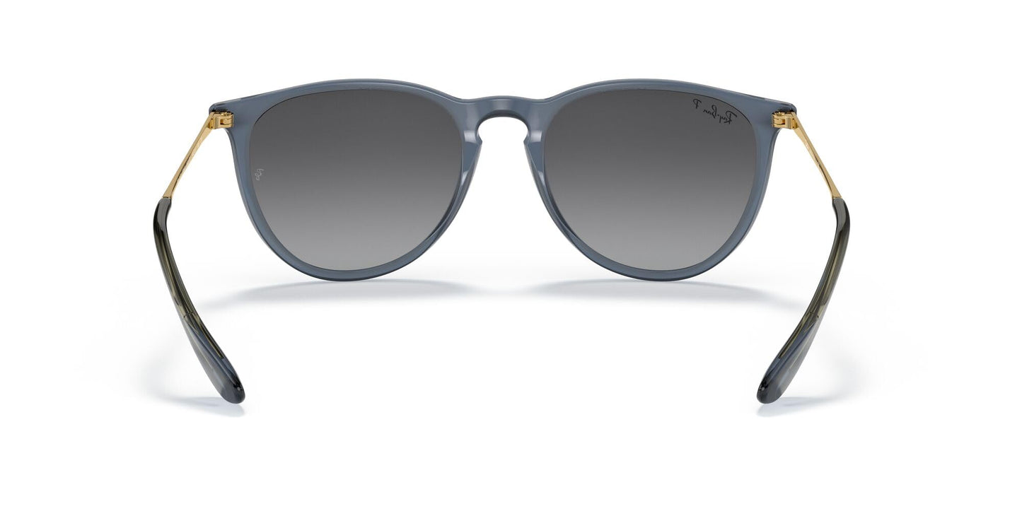 Ray-Ban Erika Sunglasses