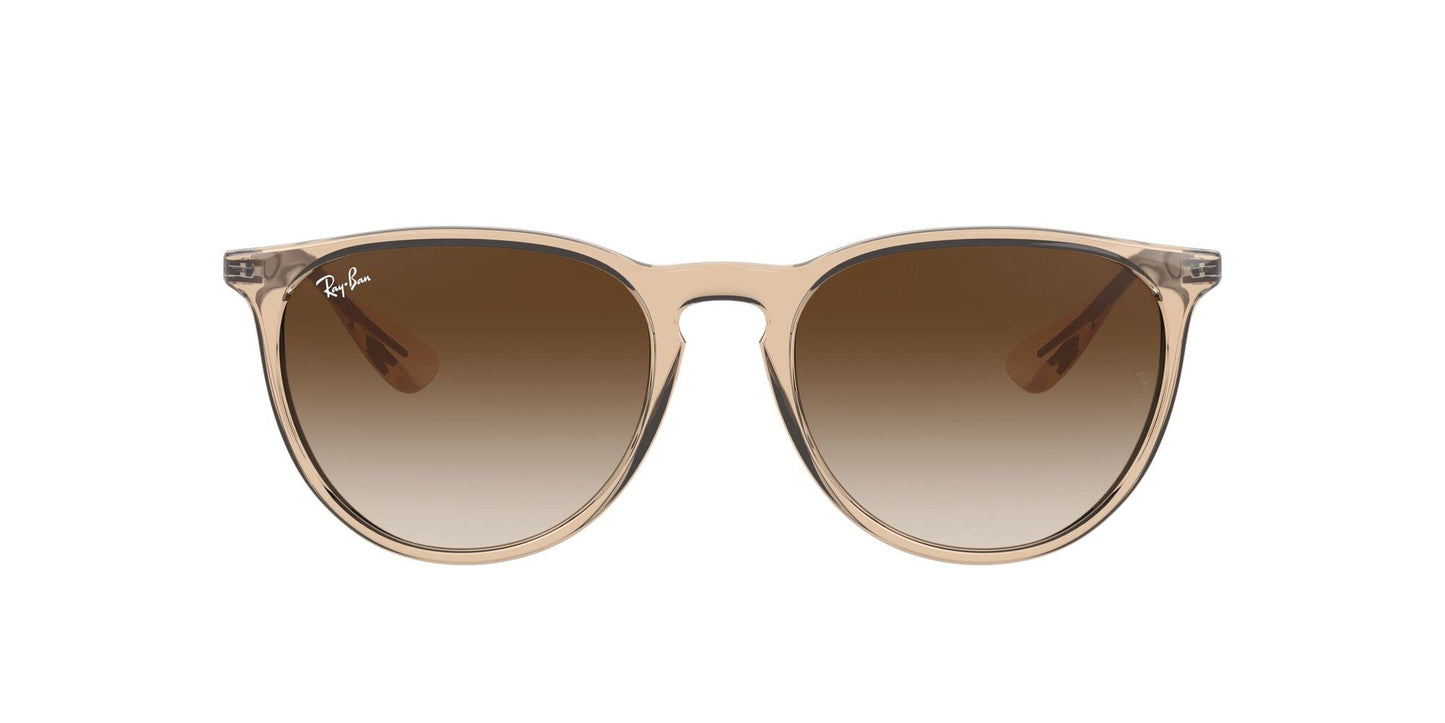 Ray-Ban Erika Sunglasses