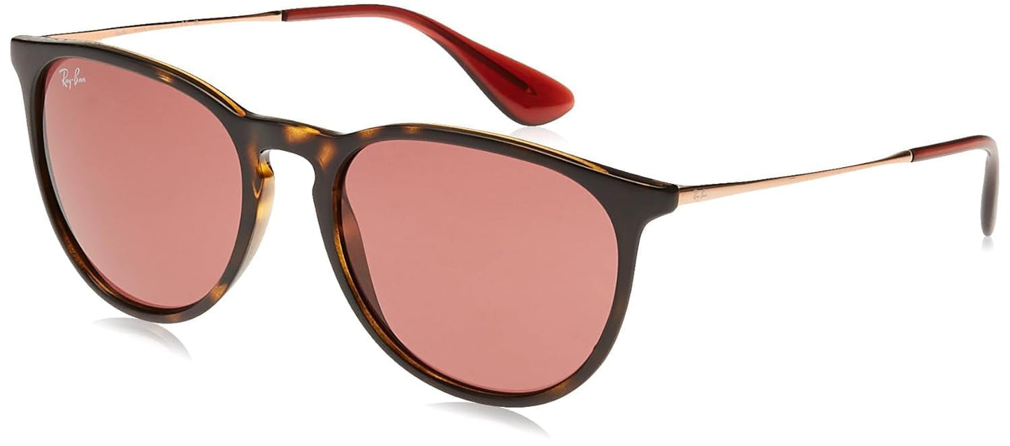 Ray-Ban Erika Sunglasses