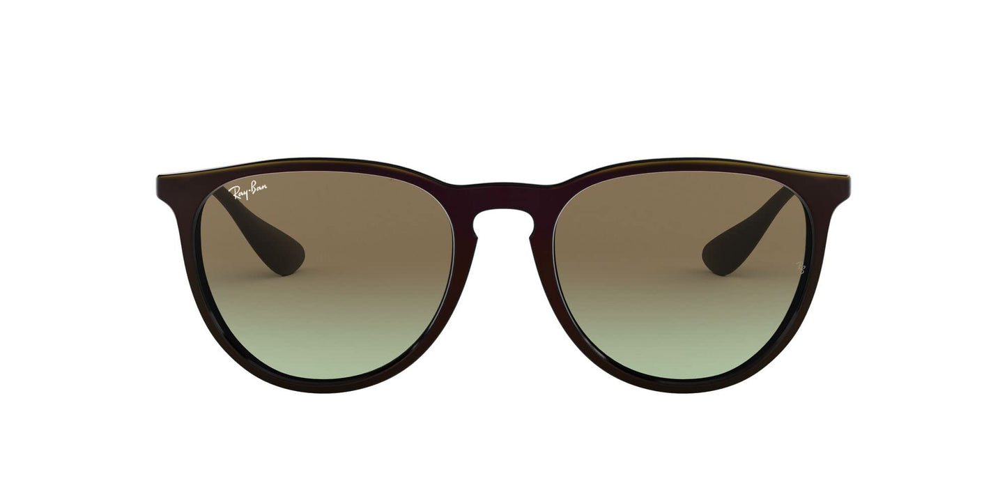 Ray-Ban Erika Sunglasses