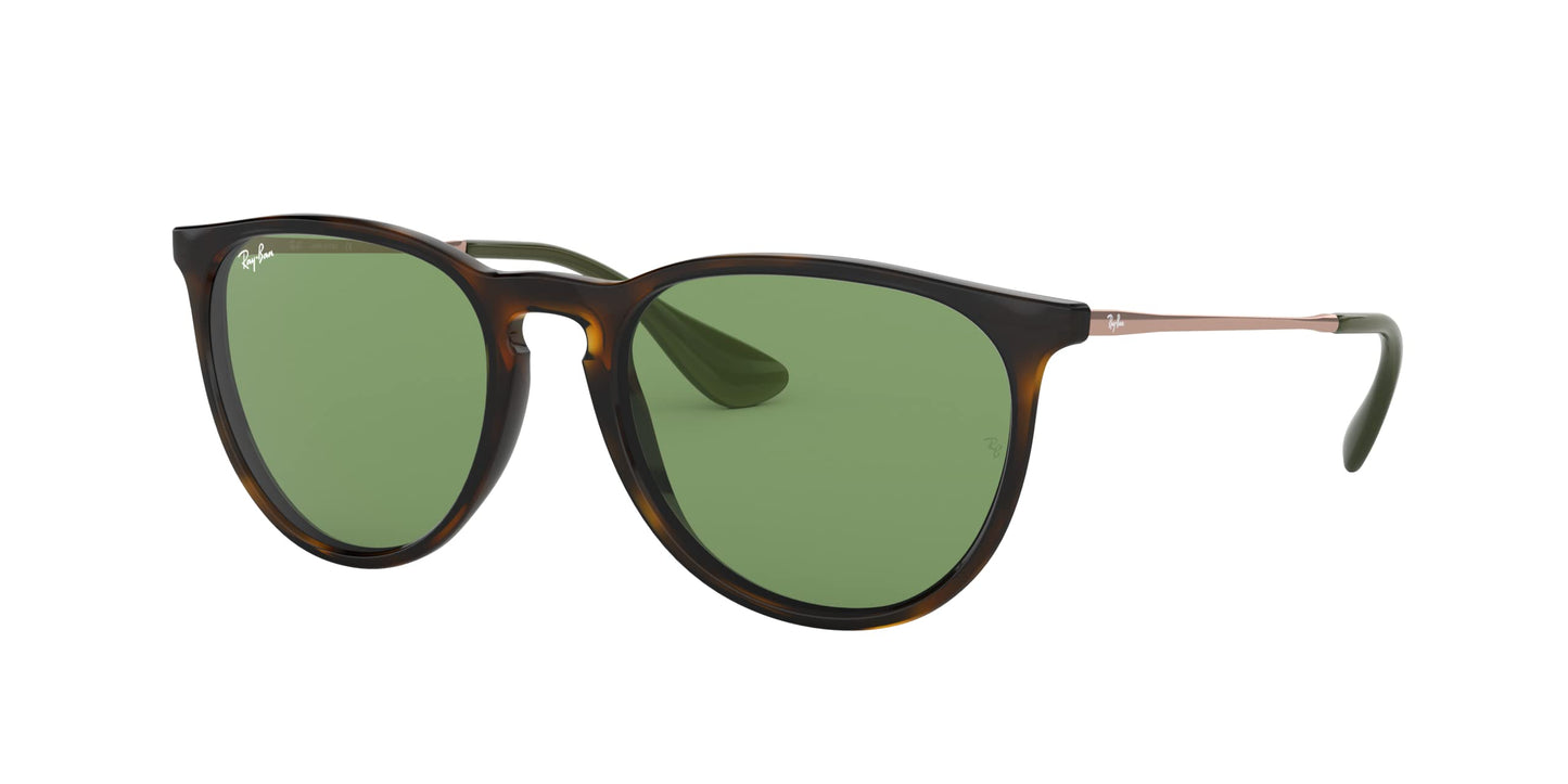 Ray-Ban Erika Sunglasses