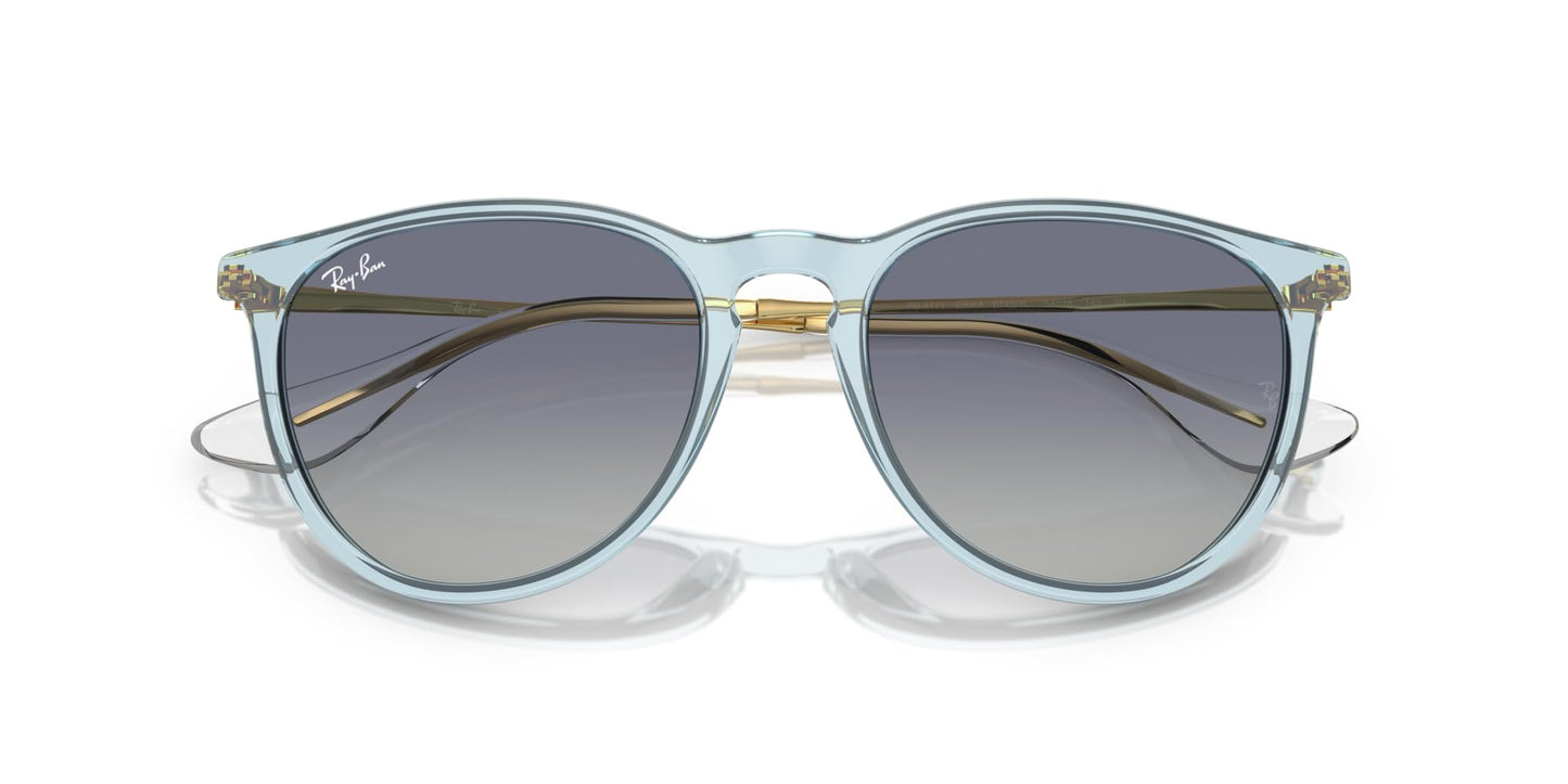 Ray-Ban Erika Sunglasses