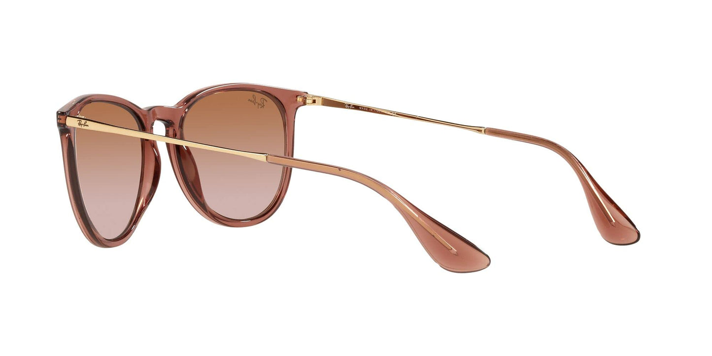 Ray-Ban Erika Sunglasses