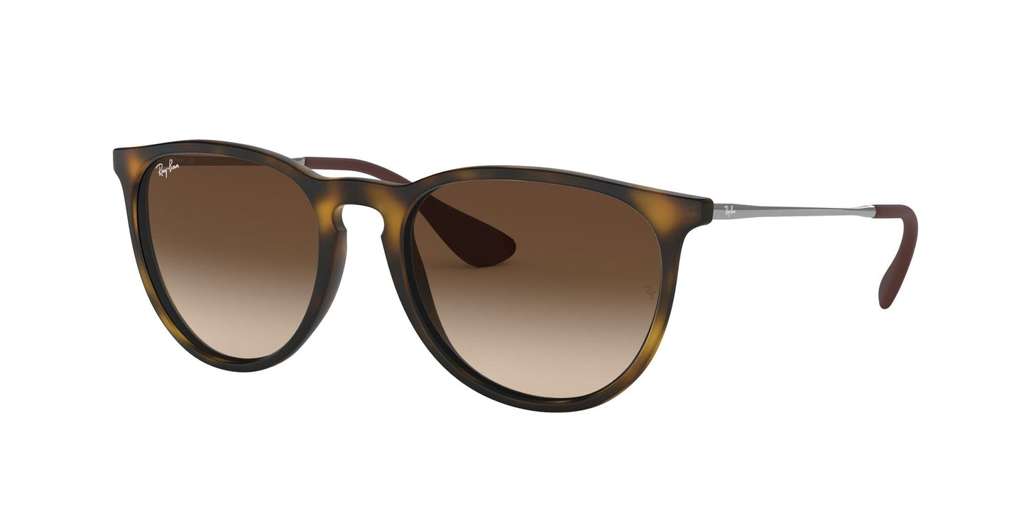 Ray-Ban Erika Sunglasses