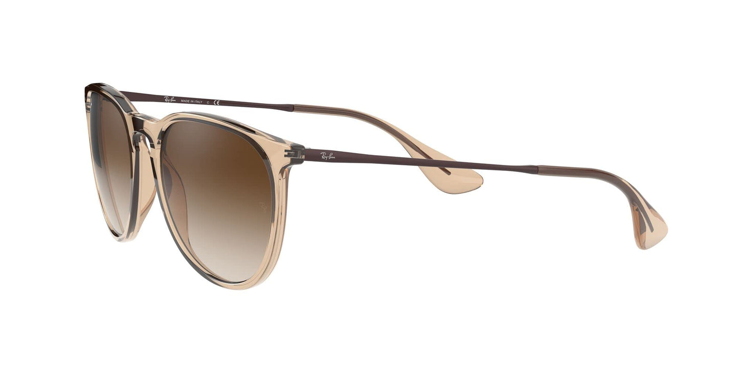 Ray-Ban Erika Sunglasses