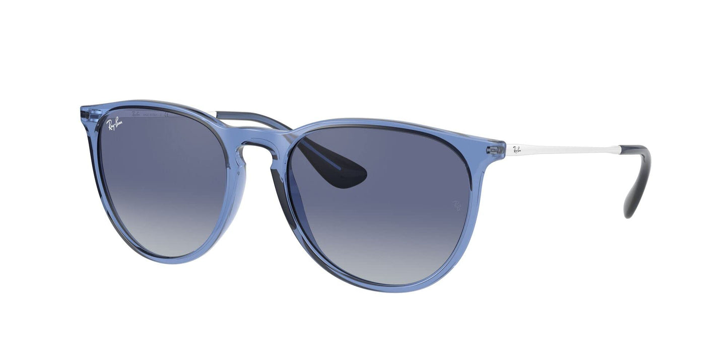 Ray-Ban Erika Sunglasses