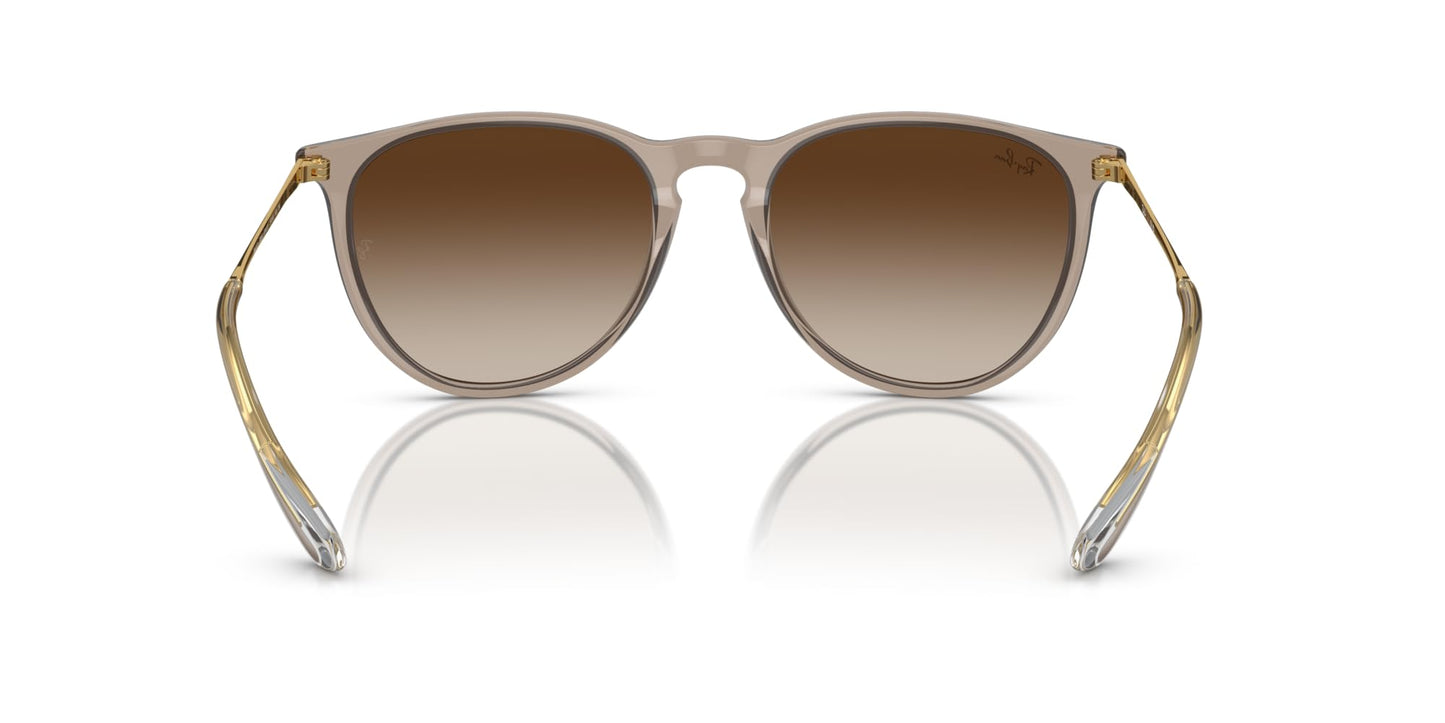 Ray-Ban Erika Sunglasses