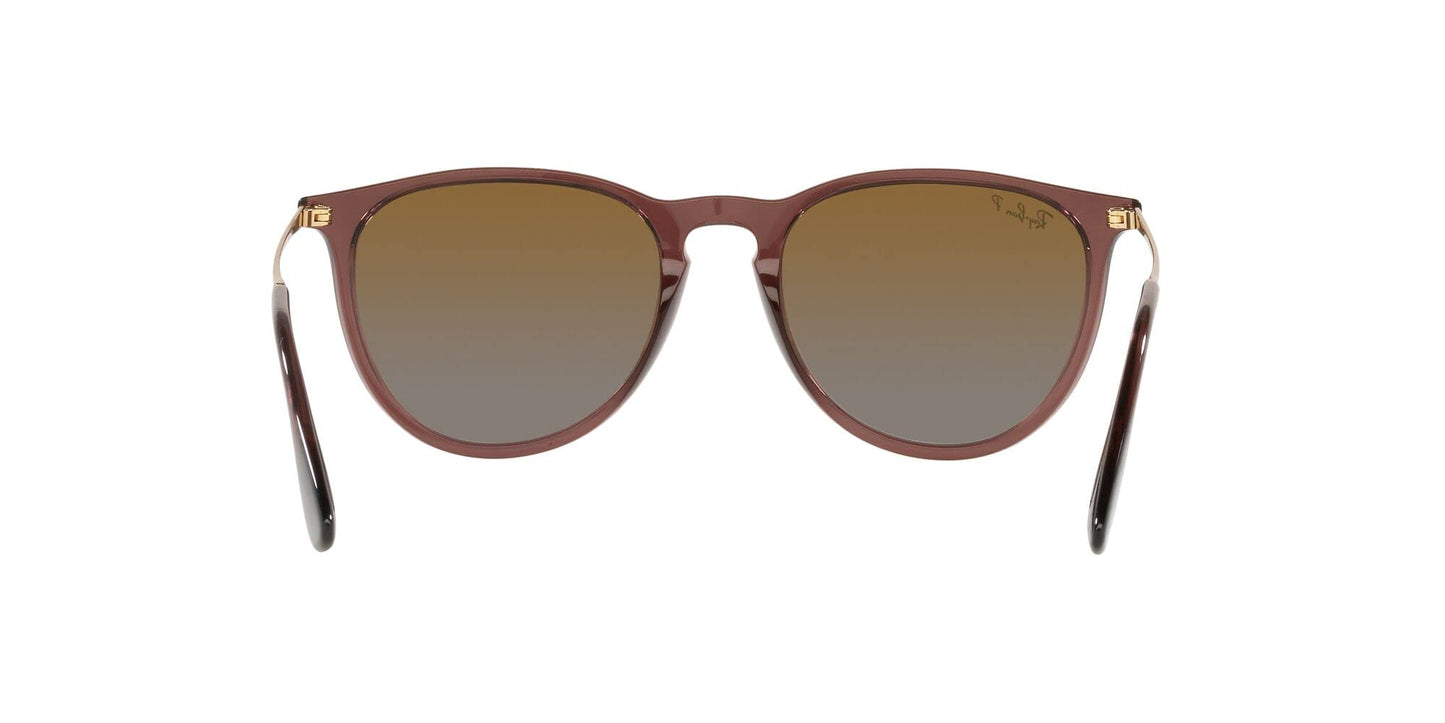 Ray-Ban Erika Sunglasses