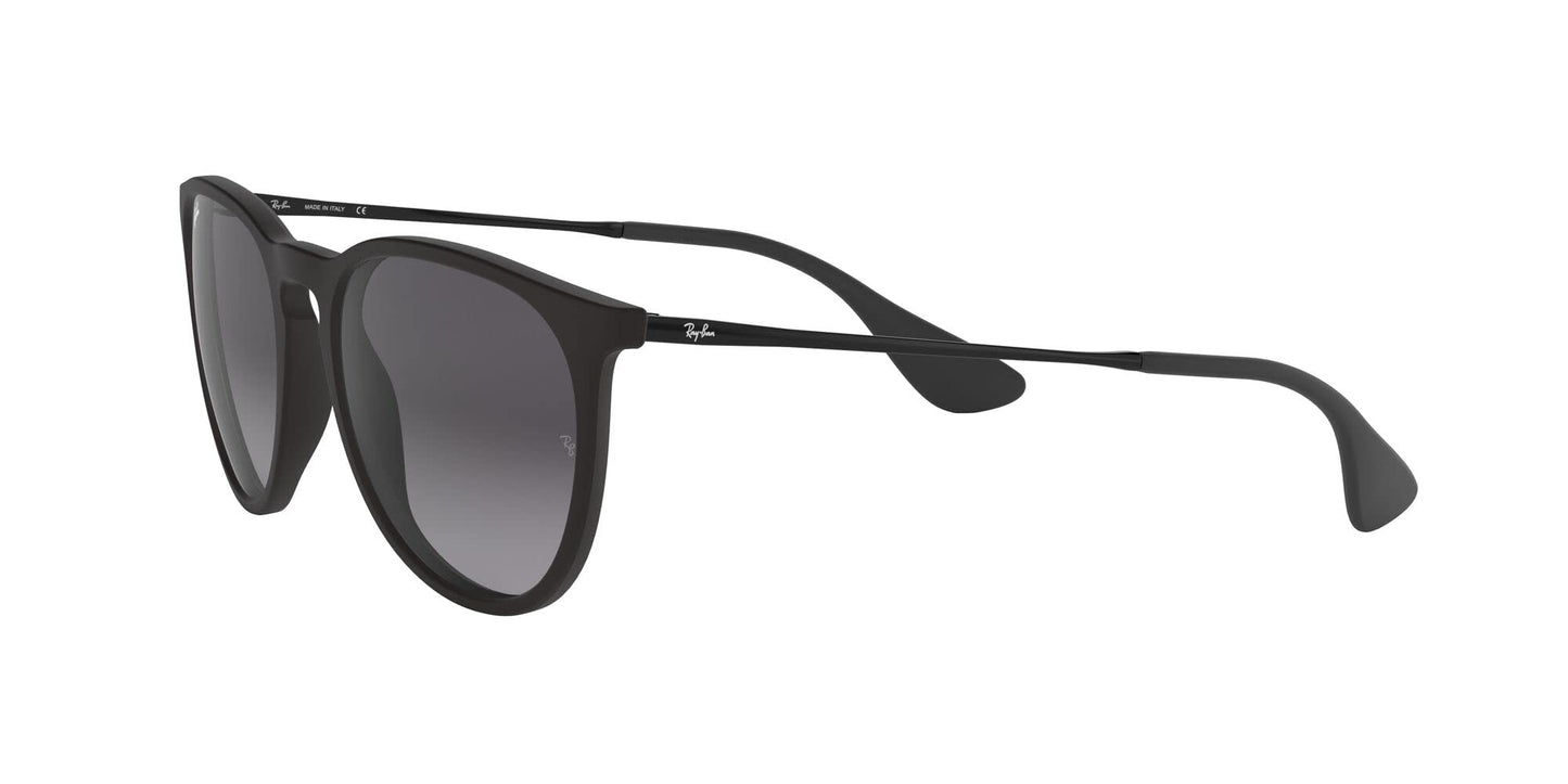 Ray-Ban Erika Sunglasses