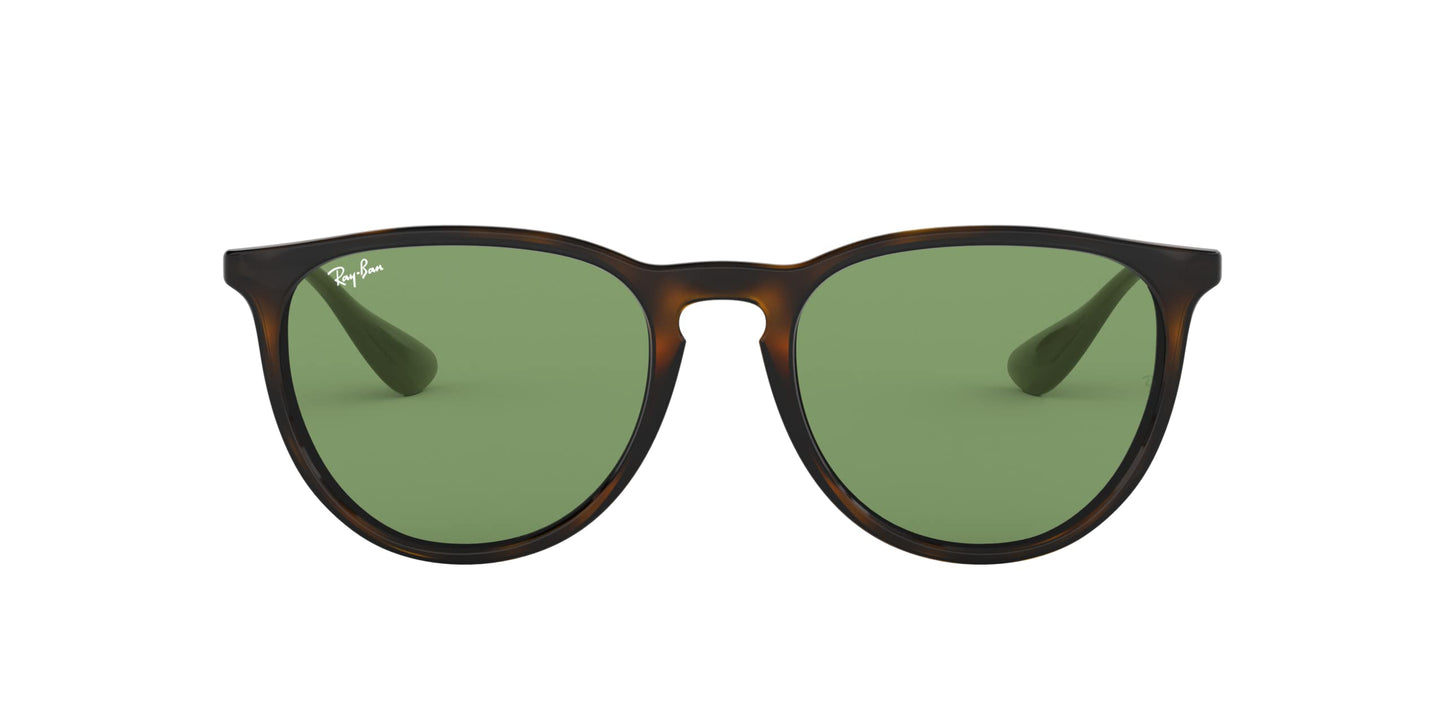 Ray-Ban Erika Sunglasses