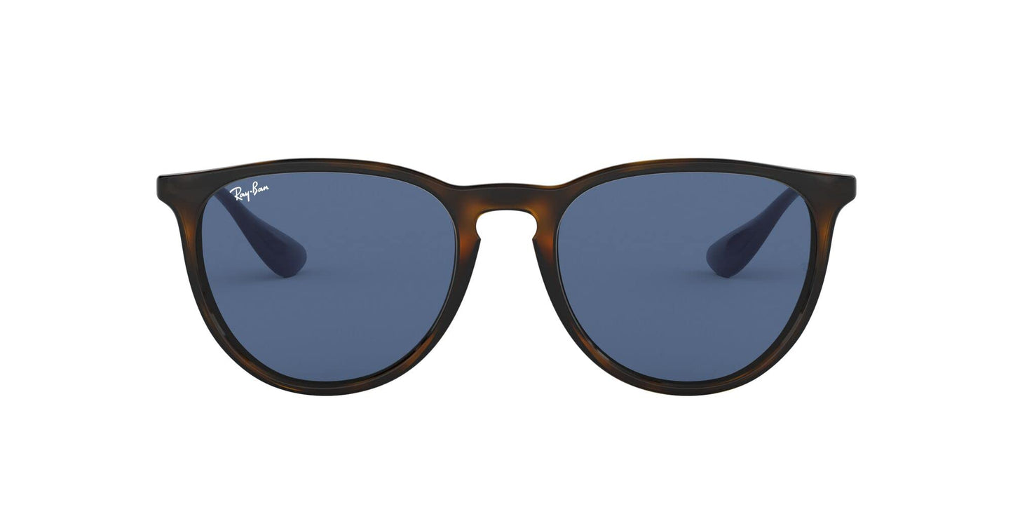 Ray-Ban Erika Sunglasses