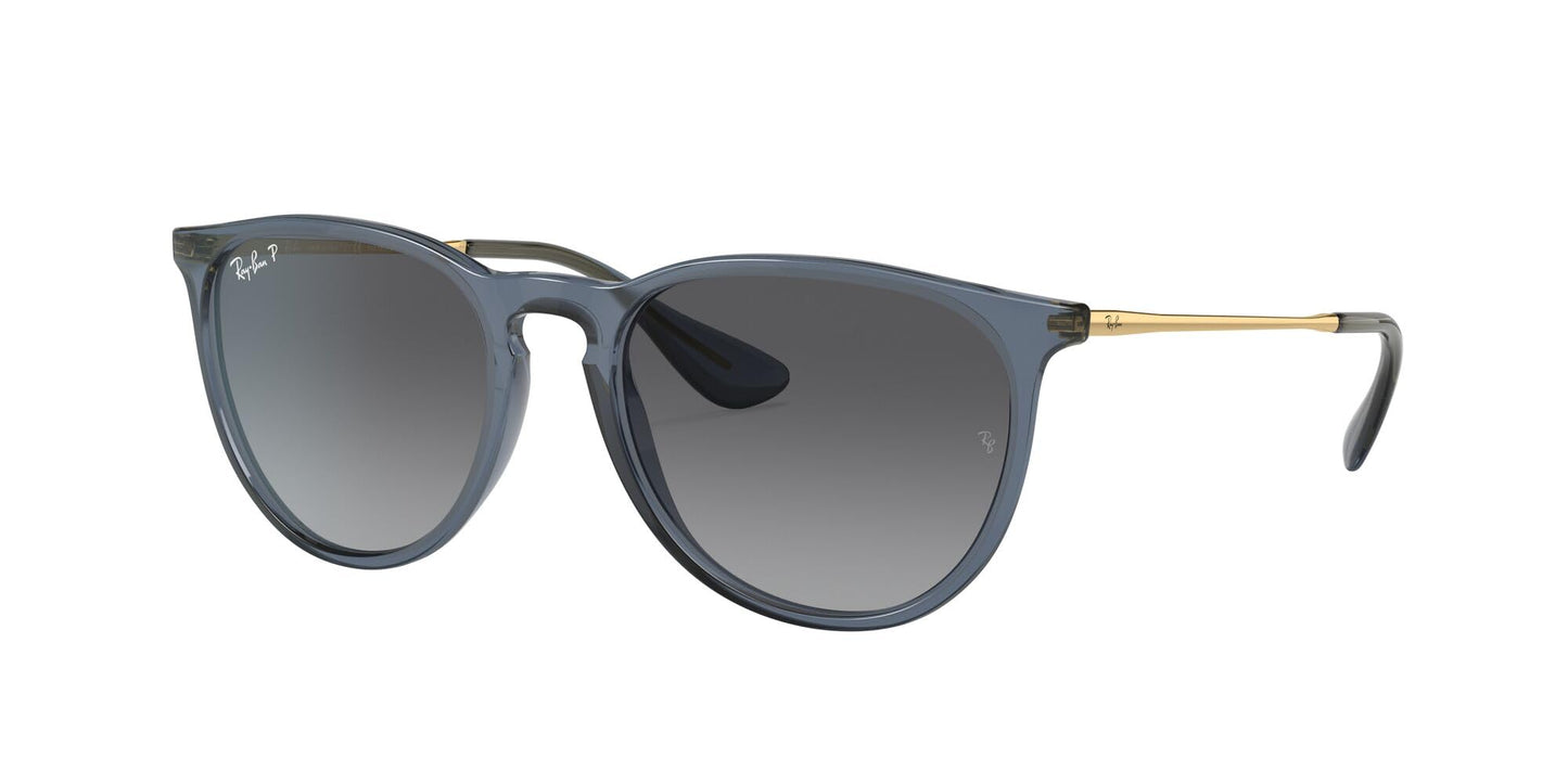 Ray-Ban Erika Sunglasses