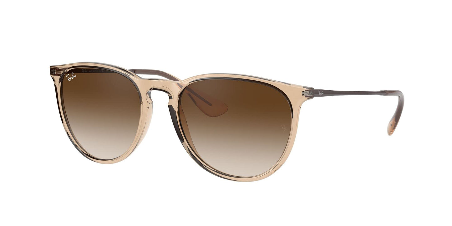 Ray-Ban Erika Sunglasses