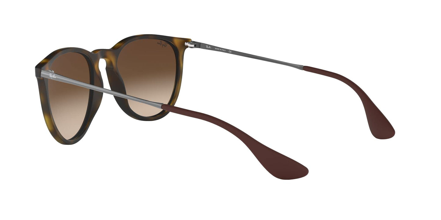 Ray-Ban Erika Sunglasses