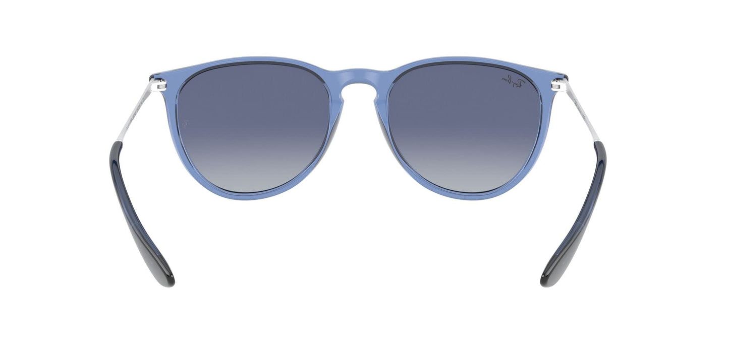 Ray-Ban Erika Sunglasses