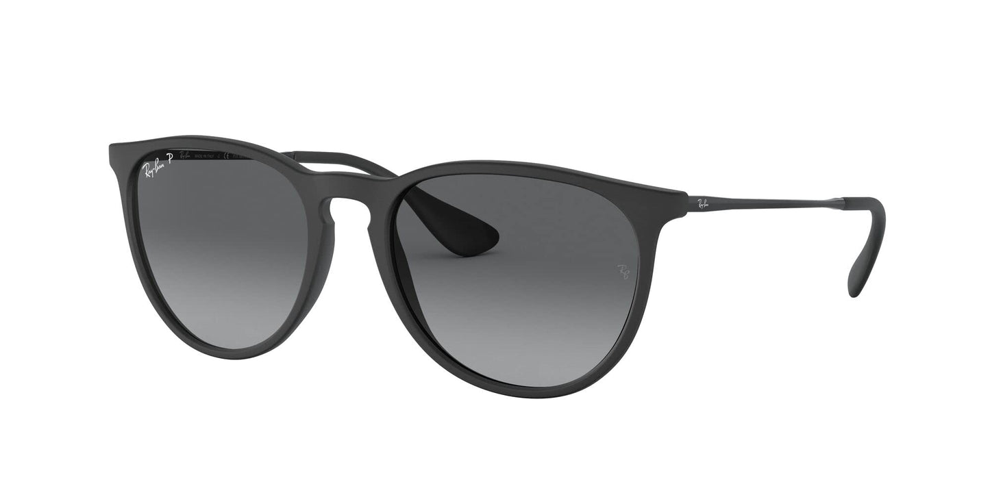 Ray-Ban Erika Sunglasses