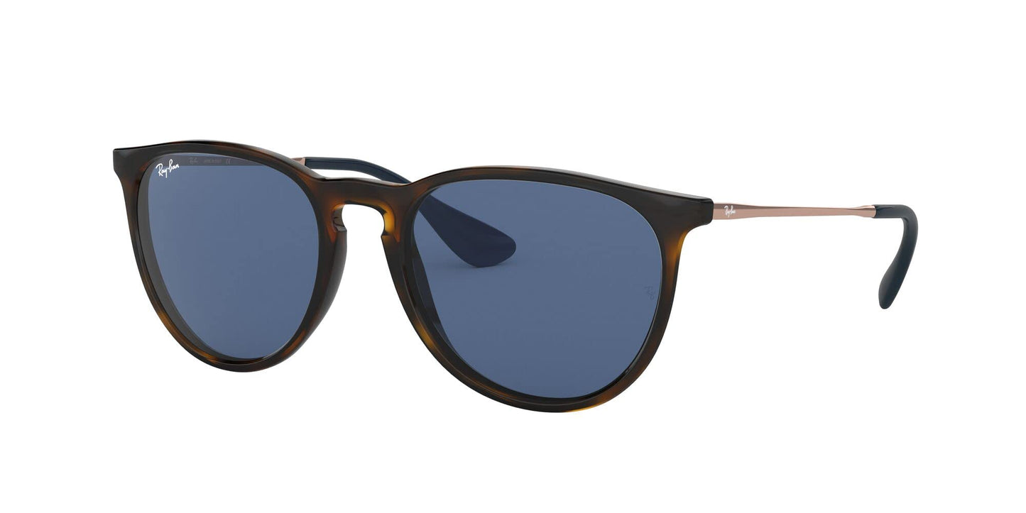 Ray-Ban Erika Sunglasses